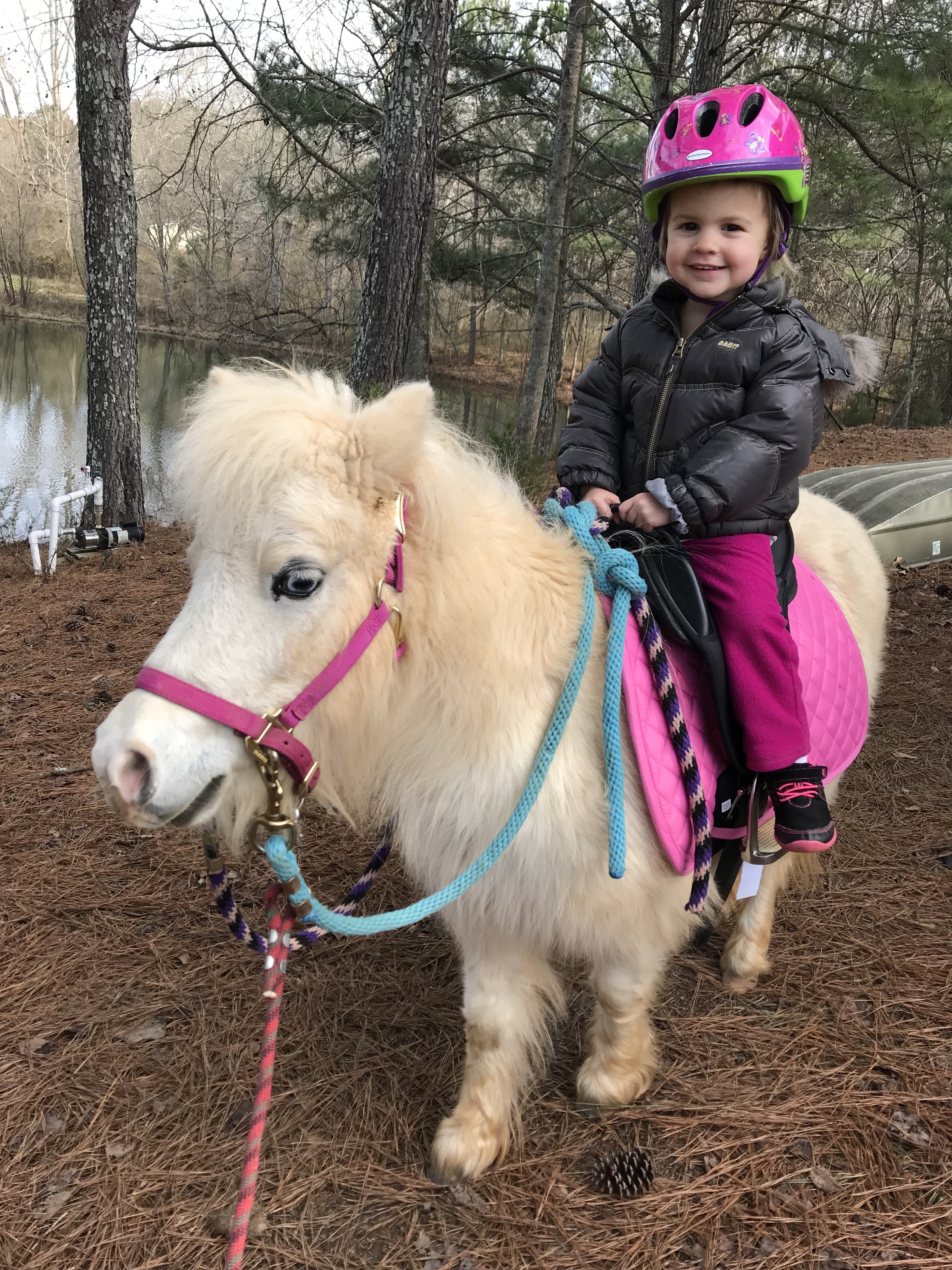 First Time (Mini) Horse-Back